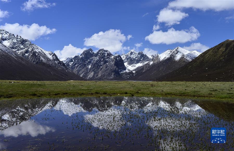 （新華全媒頭條·聚焦生物多樣性大會·圖文互動）（7）攜手同行，開啟人類高質(zhì)量發(fā)展新征程——習(xí)近平主席在《生物多樣性公約》第十五次締約方大會領(lǐng)導(dǎo)人峰會上的主旨講話解讀
